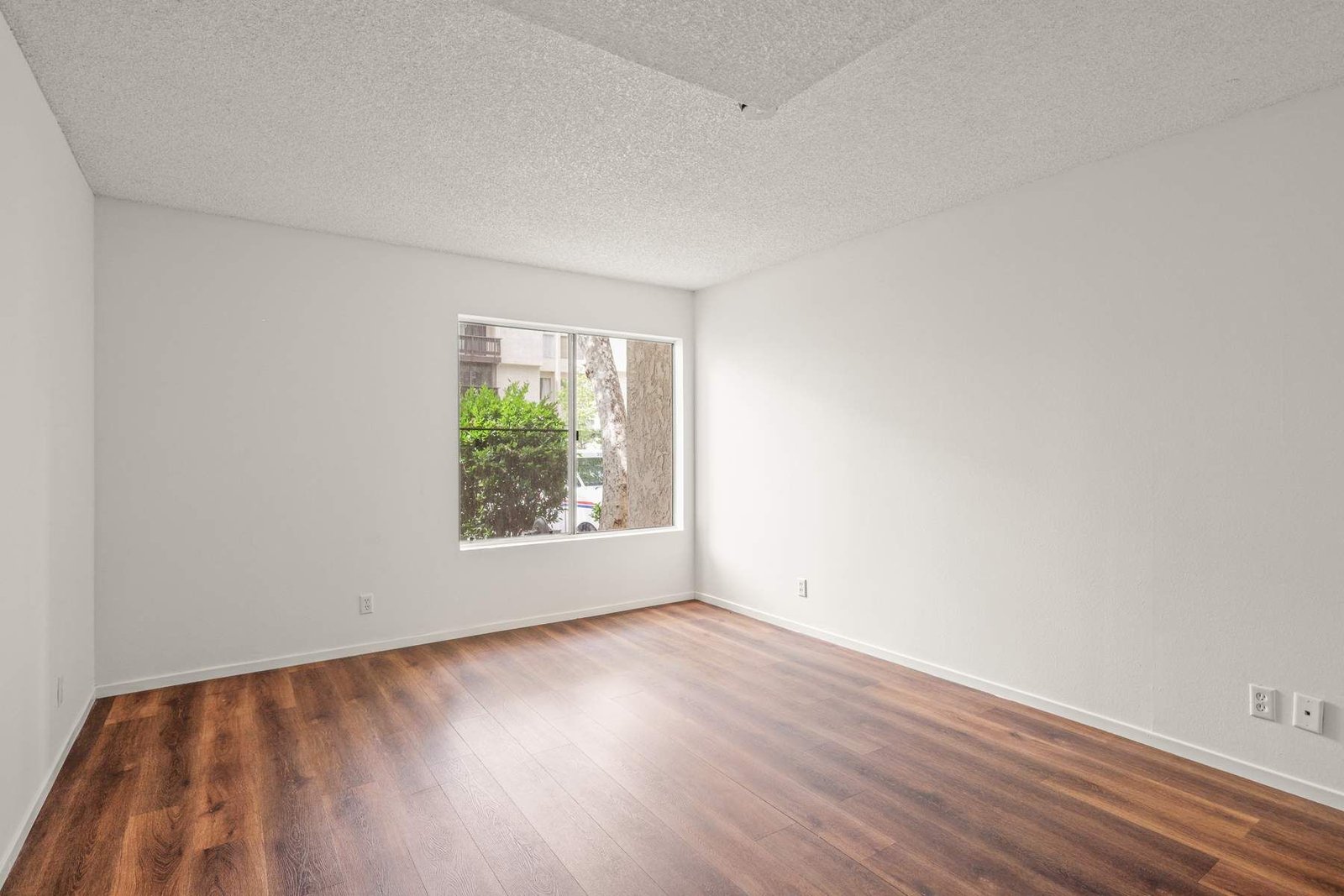 37057949-20ef-41cc-88e8-9fe80f0c835a_1800x1200