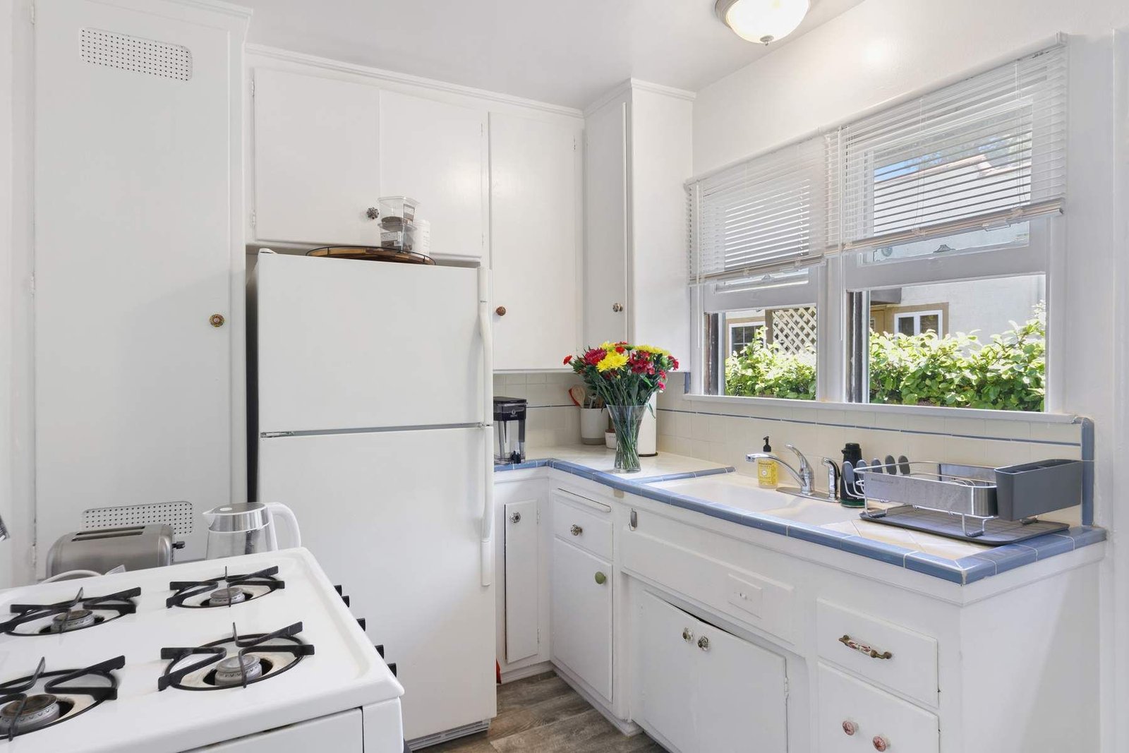 69adc7af-b867-4e5d-8737-4ef20d77a2b9_1800x1200