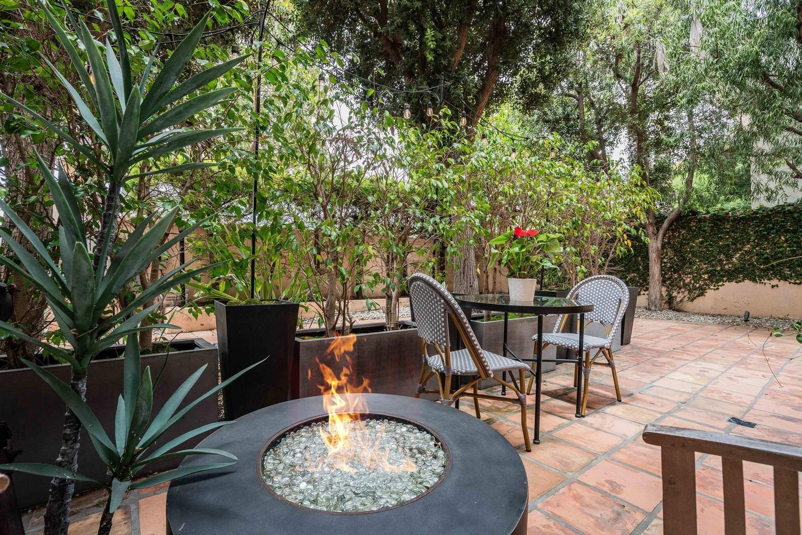 a3f7a6d7-3530-4f03-b019-5acaf0f9de86_1800x1200