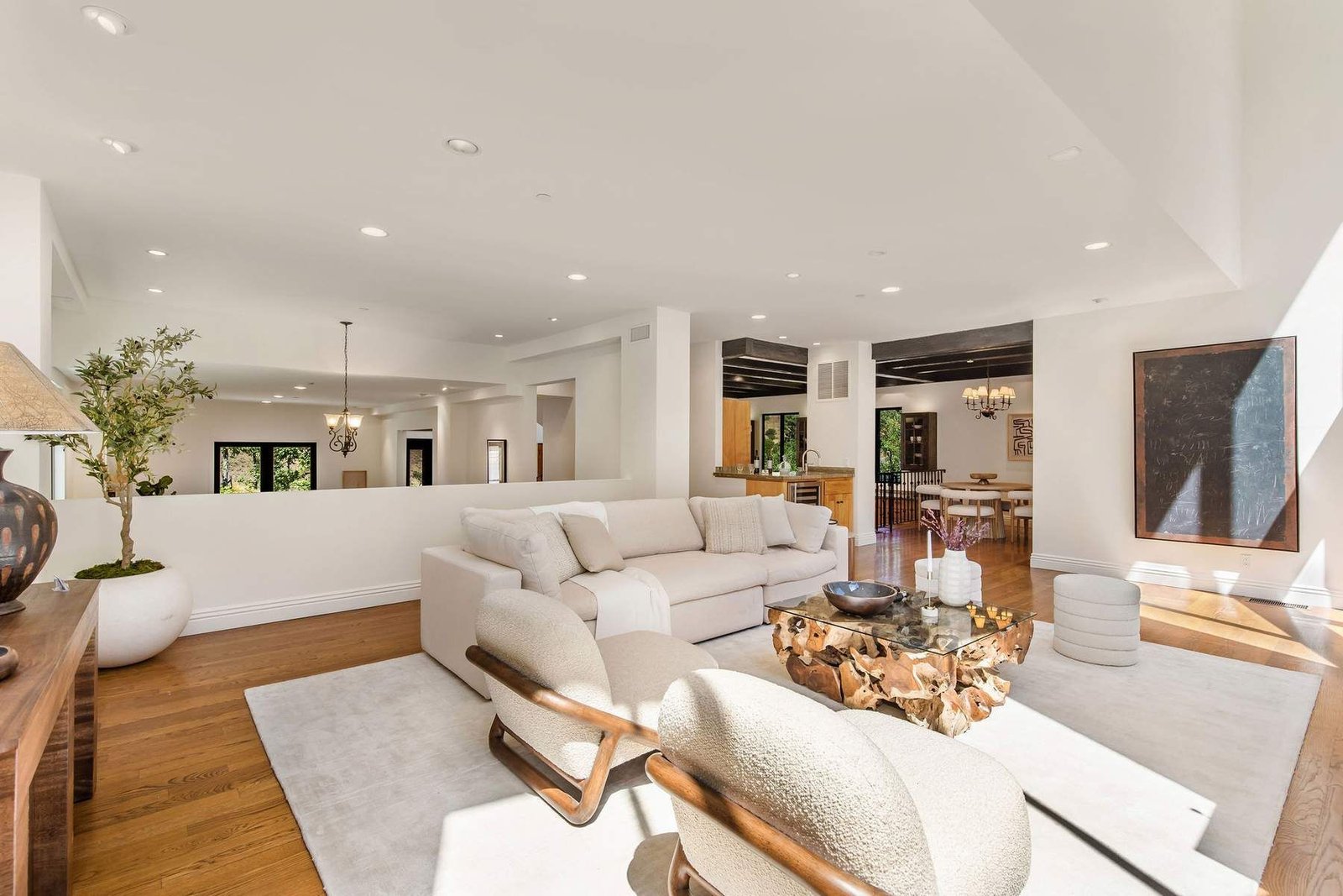 c8c47a2f-1942-4971-a649-ef55e86485fe_1800x1200