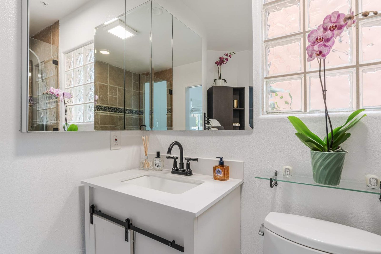 d11e4b03-7a25-435a-95a2-f33c69c98b04_1800x1200