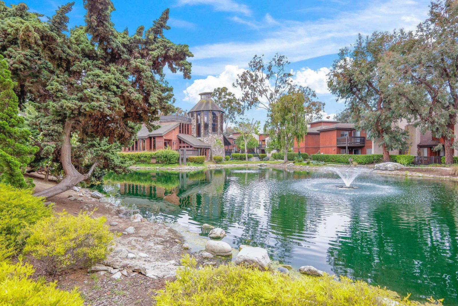 dd10564c-cb6f-4c86-bd82-b6be1d04f31c_1800x1200